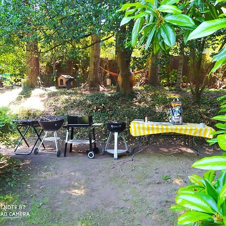 "La Selvetta" Bed And Breakfast Buguggiate 외부 사진