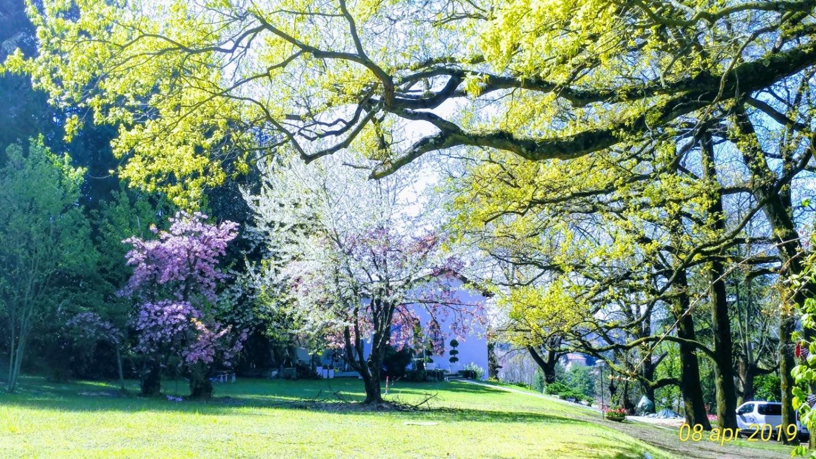 "La Selvetta" Bed And Breakfast Buguggiate 외부 사진