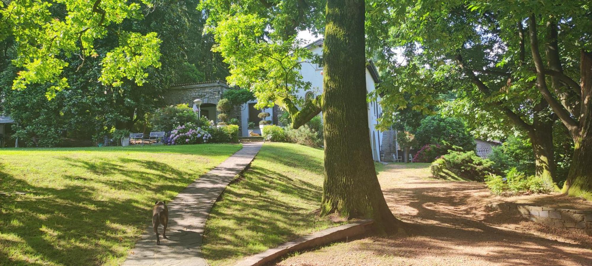 "La Selvetta" Bed And Breakfast Buguggiate 외부 사진