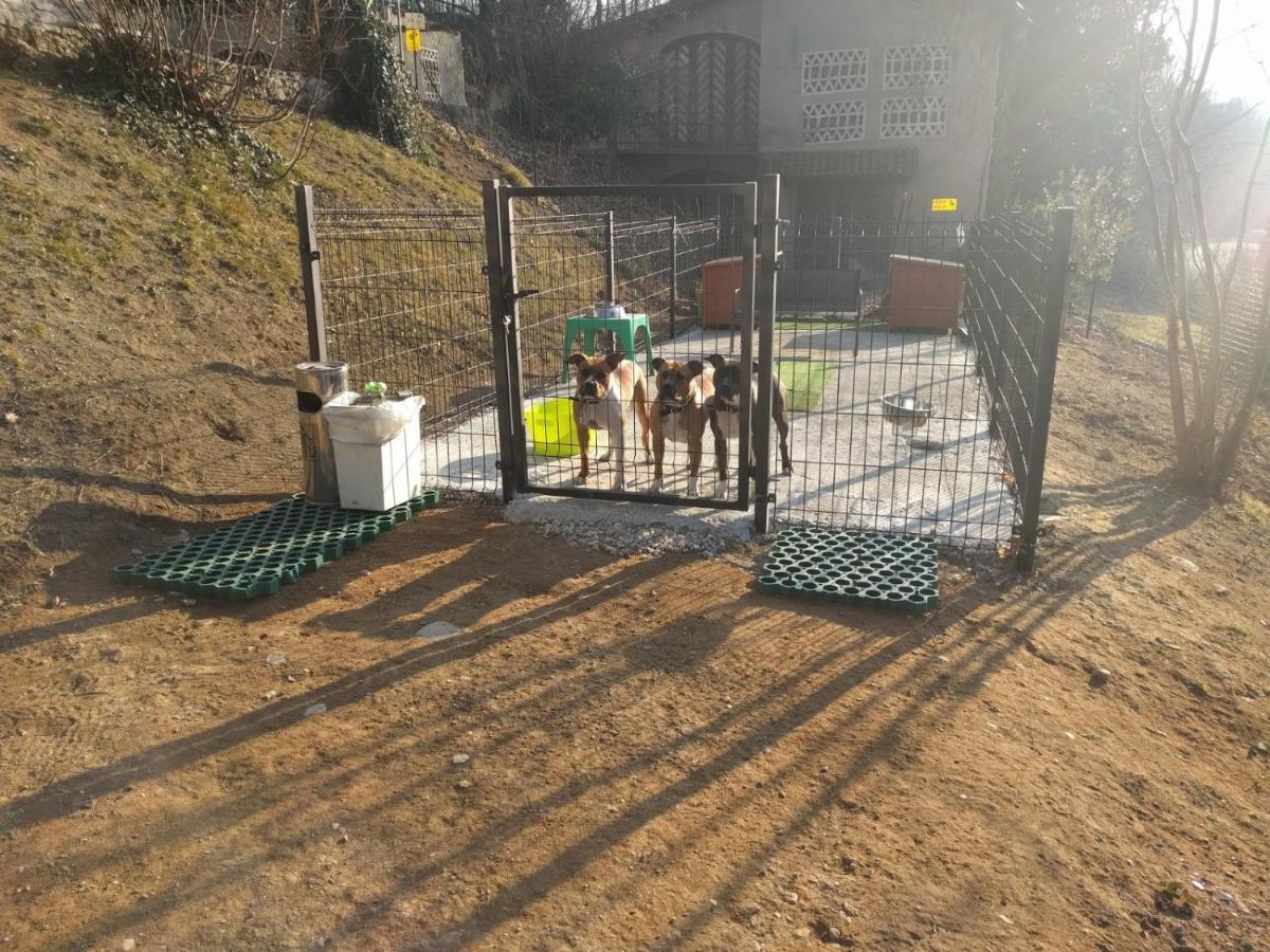 "La Selvetta" Bed And Breakfast Buguggiate 외부 사진